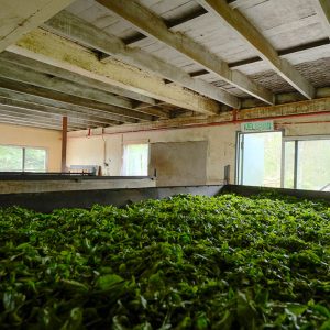 About BOH Tea Making
