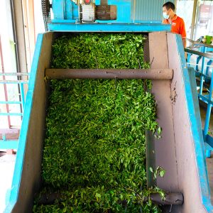 About BOH Tea Making