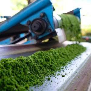 About BOH Tea Making