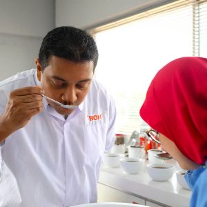 About BOH Tea Making
