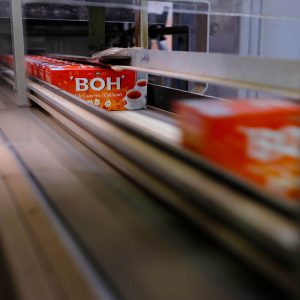 About BOH Tea Making