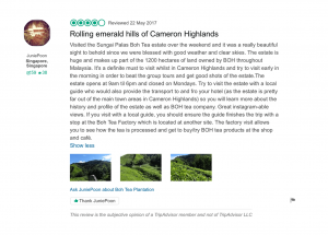 Trip Advisor Review
