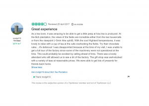 Trip Advisor Review
