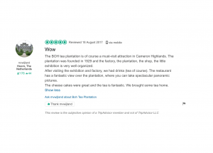 Trip Advisor Review