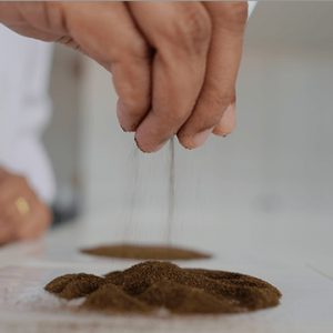 Tea Making Thumbnail