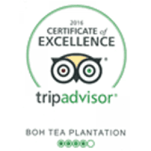 Trip Advisor BOH