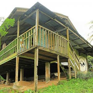 International Eco School Education