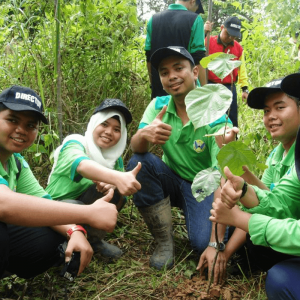 International Eco School Children in the Forest