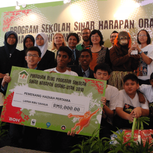 Orangutang Program