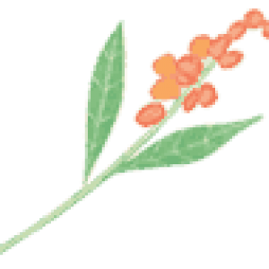 Weeds