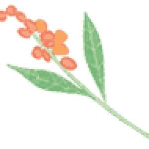 Weeds