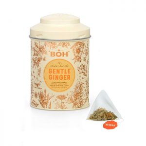 BOH Gentle Ginger Pyramid Teabag