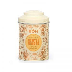 BOH Gentle Ginger Pyramid Teabag