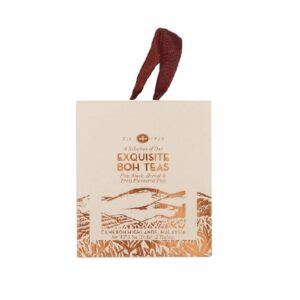 BOH Exquisite Tea 12 teabags